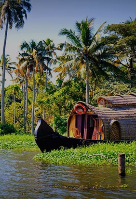 Kerala Tour Packages